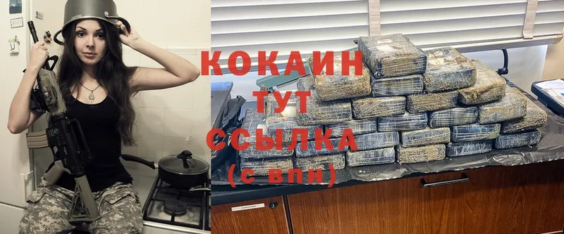 кракен как войти  Норильск  Cocaine FishScale 